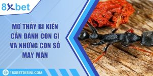 Mơ thấy bị kiến cắn đánh con gì và những con số may mắn